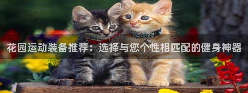 征途国际官网:花园运动装备推荐:选择与您个性相匹配的健身神器