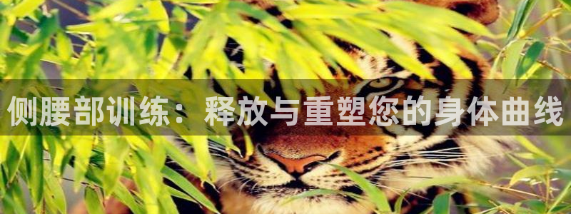 征途国际平台注册要钱吗是真的吗:侧腰部训练:释放与重塑您的身