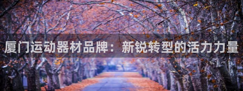 征途国际是干嘛的公司:厦门运动器材品牌:新锐转型的活力力量