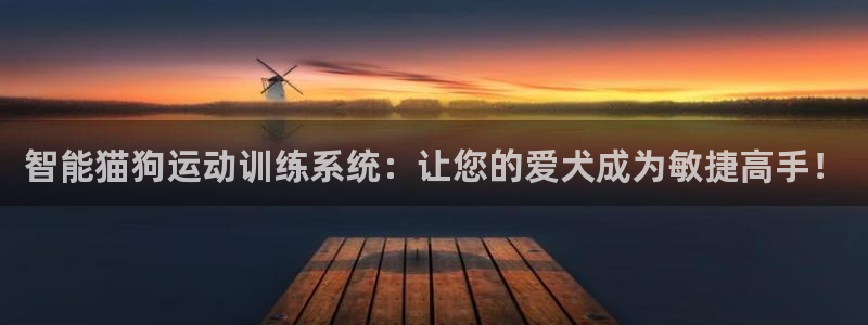 征途国际招商电话地址查询:智能猫狗运动训练系统:让您的爱犬成