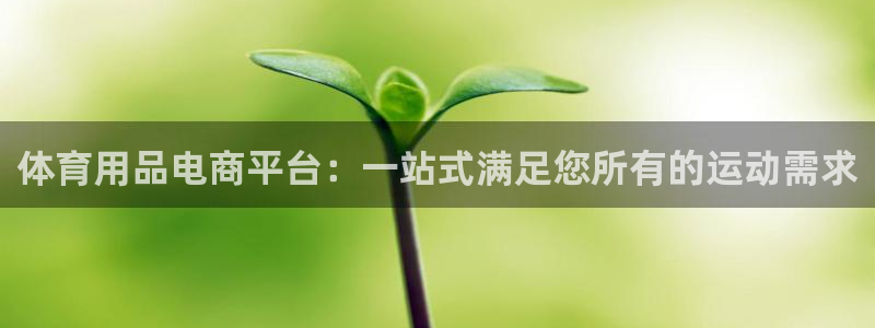 注册征途国际:体育用品电商平台:一站式满足您所有的运动需求