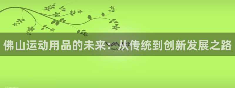 征途国际官网:佛山运动用品的未来:从传统到创新发展之路