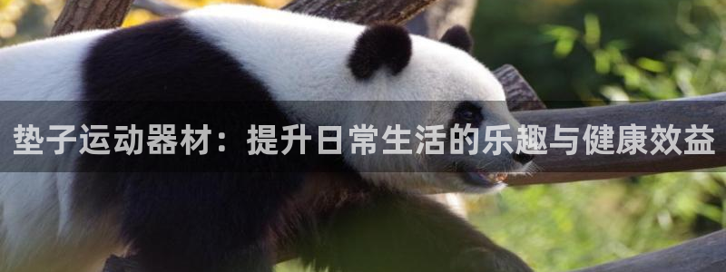 征途国际开户:垫子运动器材:提升日常生活的乐趣与健康效益