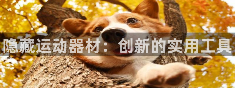 征途国际注册:隐藏运动器材:创新的实用工具